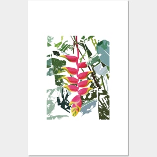 Heliconia rostrata, Hanging Lobster Claw Posters and Art